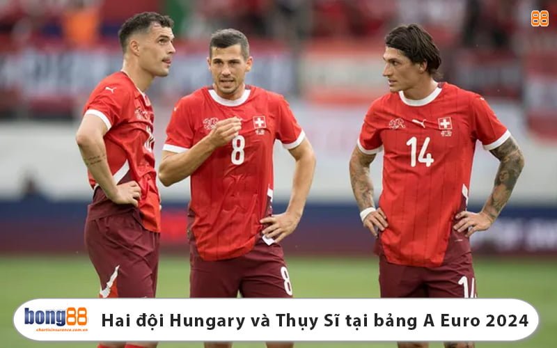 Trận đấu Hungary và Thụy Sĩ tại bảng A Euro 2024